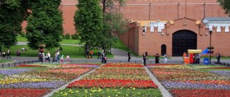 Александровский сад в Москве