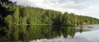Big Simaginskoye Lake