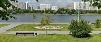 Братеевский парк в Москве