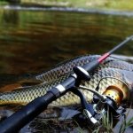 What to take with you on a summer fishing trip
