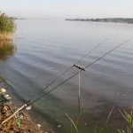 Feeder feeders for strong currents - how to choose and how to use