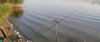 Feeder feeders for strong currents - how to choose and how to use