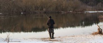 Where you can’t fish on the Neman in the vicinity of Grodno and what to do if you see poachers
