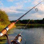 How to cast a spinning rod correctly