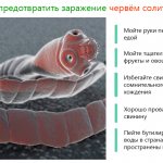 Как предотвратить заражение червём солитером