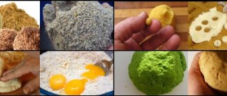 How to make dough for fishing, recipes