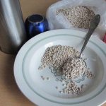 How to cook and steam pearl barley for fishing: recipes for bait and bait