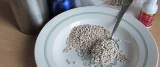 How to cook and steam pearl barley for fishing: recipes for bait and bait