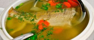 How to cook perch soup at home