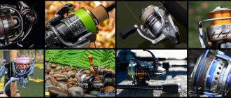 How to choose a spinning reel