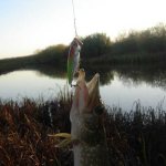 How to choose a spinning rod for jig