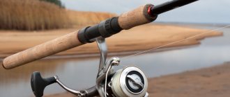 How to choose a spinning rod? ( Video) 