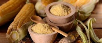 Corn flour - benefits, harm and best ways to use it in different dishes