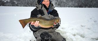Fishing for trout in winter on girders and stands