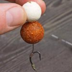 Fishing with boilies