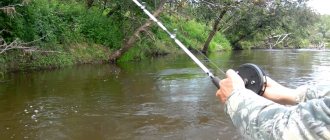 Fishing with a spinning rod with an inertial reel