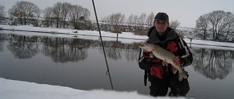 Pike fishing in March with spinning rod 2