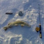 pike fishing in winter