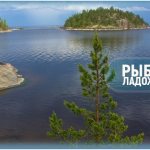 Fishing spots on Ladoga and fishing on the lake