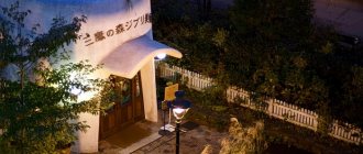 'Музей аниме-студии Гибли "Ghibli Museum", Митака, Токио (Япония)' width="670