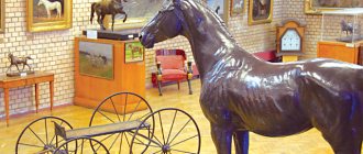 Horse Breeding Museum