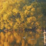 Man fishing in autumn