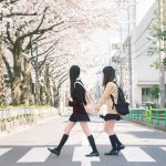 Начало учебного года в Японии совпадает с цветением сакуры