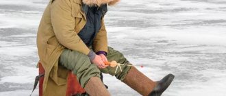 Footwear for winter fishing: the best men&#39;s and women&#39;s boots, felt boots, boots
