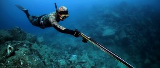 Hunting underwater