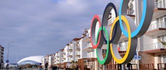 Olympic rings in the village - photo