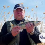 Autumn fishing for pike perch