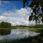 Paid ponds in the Saratov region