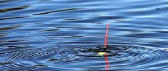 When fishing with float rods, you must use bait. When choosing a fly or Bolognese fishing rod, choose floats that are stable and can withstand the force of the current. 