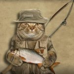 Прикольные стихи про рыбалку ко Дню рыбака