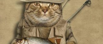 Прикольные стихи про рыбалку ко Дню рыбака