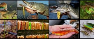Lures for pike fishing