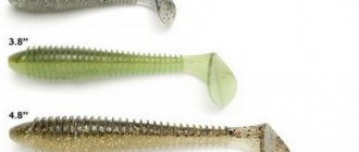 Size of vibrotails for pike perch