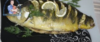Recipe for baked carp in the oven in foil