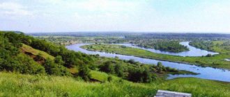 river crow Tambov region