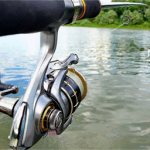 Repair and maintenance of spinning reels - how to disassemble, lubricate, assemble