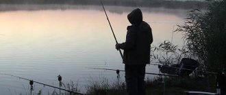 Рыбак доночник на закате