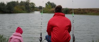 Fishing on paid ponds in the Saratov region - the top ten places