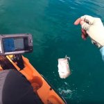 Fishing with an echo sounder