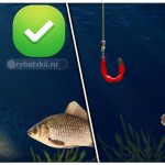Fishing with and without bait