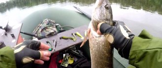 Fishing in the Ryazan region: best places and reviews