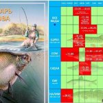 Fishing-calendar-features-of-fishing-in-December-18