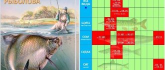 Рыболовный-календарь-особенности-рыбалки-в-декабре-18