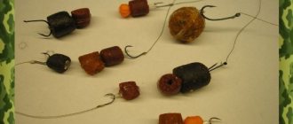 Tackle for catching carp in spring with boilies