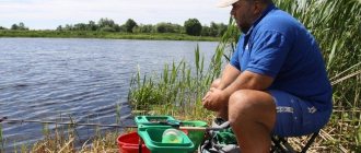 Three bait recipes for small rivers