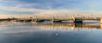 Trinity Bridge in St. Petersburg - photo, description